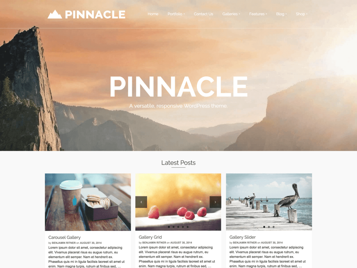 templates wordpress