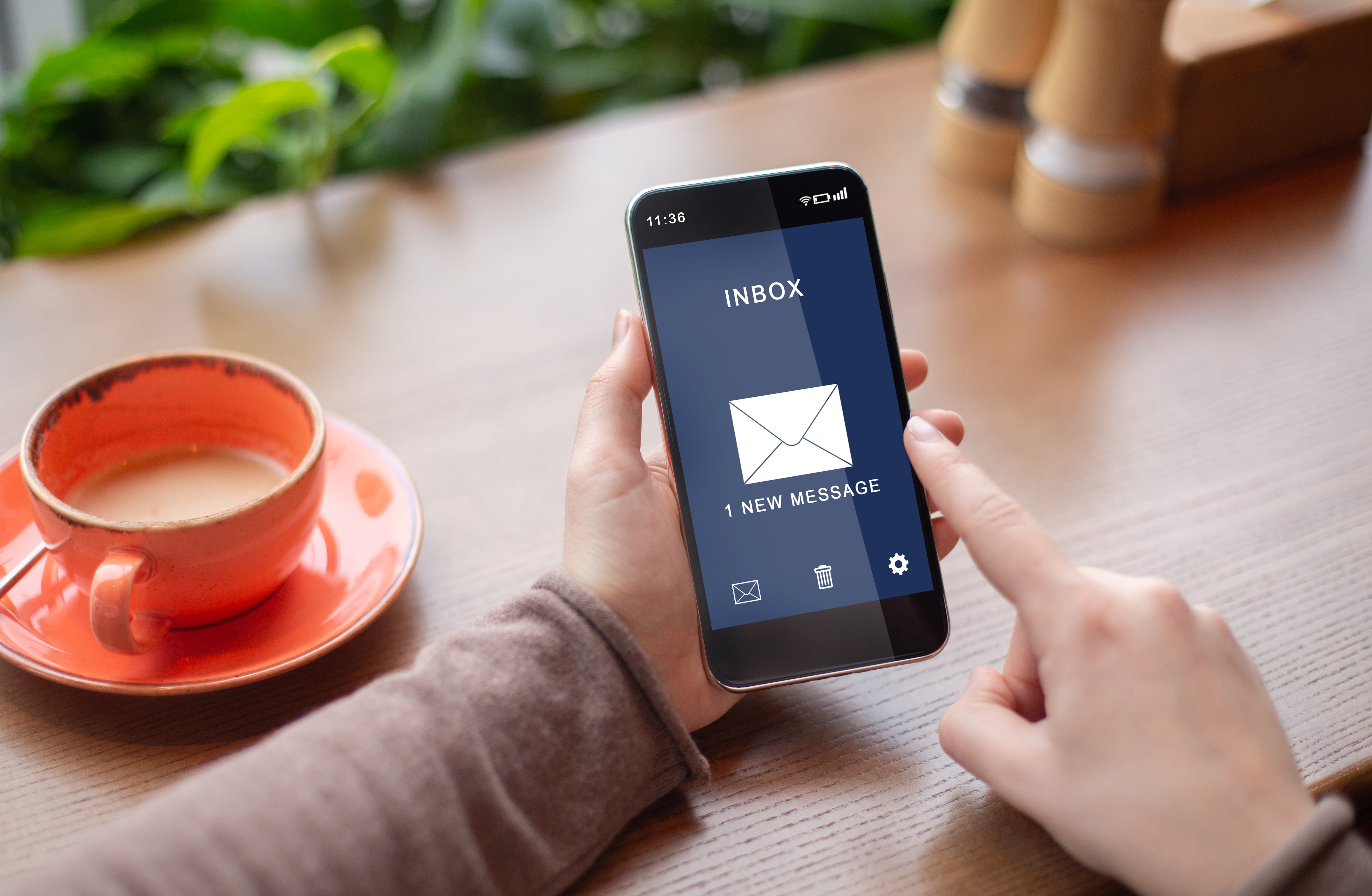 otimização de newsletter