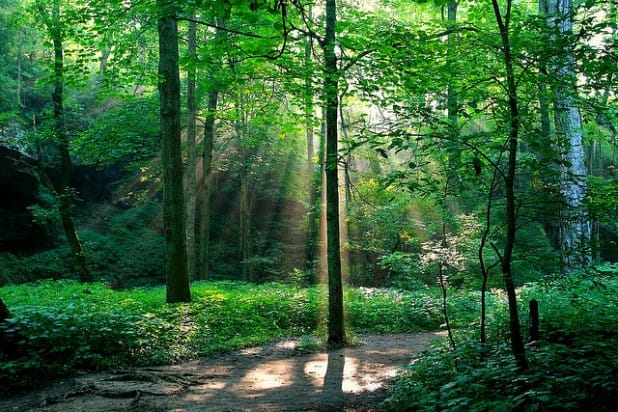 3715103059_1044c51cfc_z